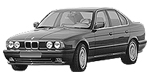 BMW E34 P3155 Fault Code
